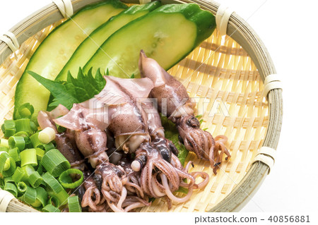 [小烏賊北陸] 40856881