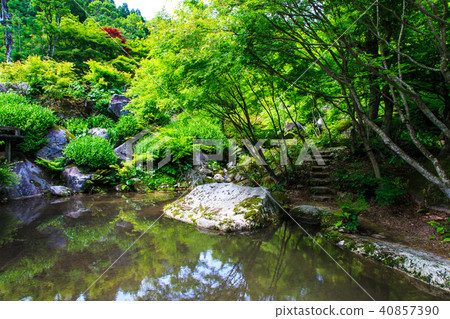 清新的綠色環境藝術森林[佐賀縣唐津市] 40857390