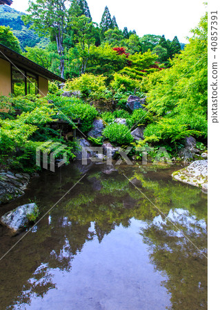 清新的綠色環境藝術森林[佐賀縣唐津市] 40857391