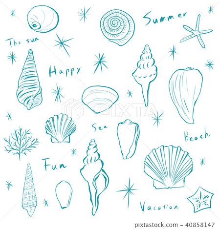 貝殼傳染媒介材料夏天淺蘭＆白色 40858147