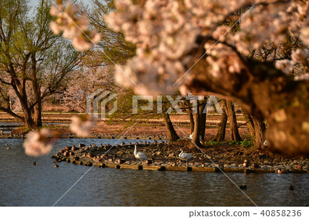 Spring of Luohu Spring of Luohu 40858236
