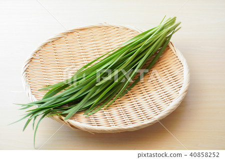 Chinese chive Chinese chive 40858252