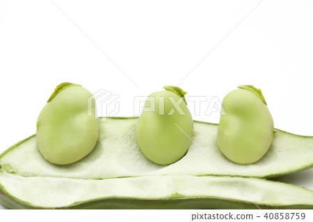 Broadcasting 40858759