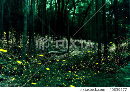 Hime ballar的節奏 40859577