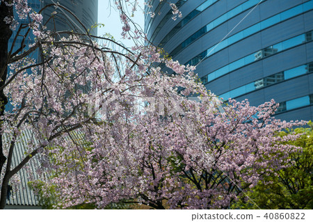 Sakura and Meguro Gajyoen · Ark tower (Tokyo) Sakura and Meguro Gajyoen · Ark tower (Tokyo) 40860822