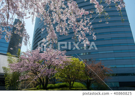 Sakura and Meguro Gajyoen · Ark tower (Tokyo) Sakura and Meguro Gajyoen · Ark tower (Tokyo) 40860825