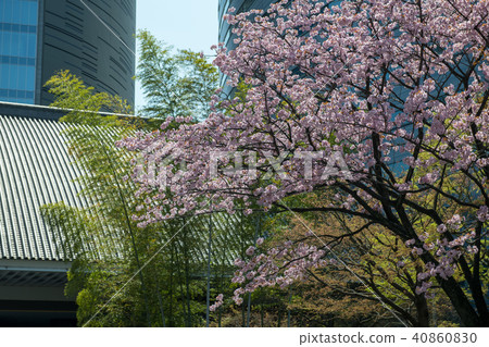 Sakura和Meguro Gajyoen·Ark塔(東京) Sakura和Meguro Gajyoen·Ark塔(東京) 40860830