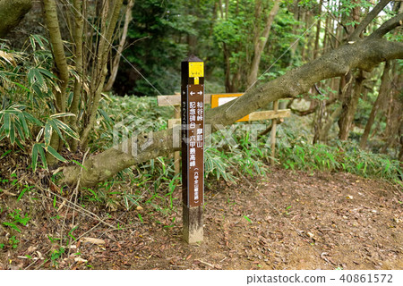 六甲山南路(道路封閉) 六甲山南路(道路封閉) 40861572