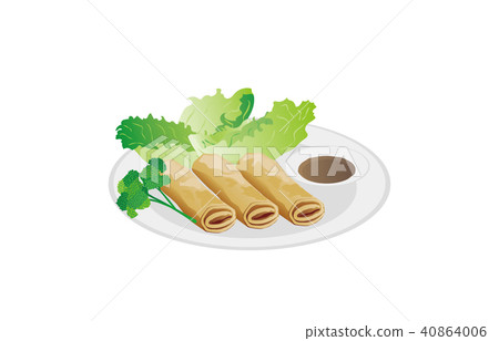 Today's rice spring roll 40864006