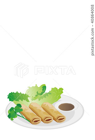 Today's rice spring roll 40864008