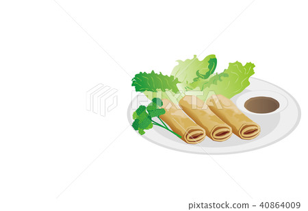 Today's rice spring roll 40864009