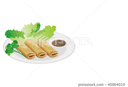 Today's rice spring roll 40864010