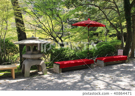 和歌山城·西野丸園 40864471