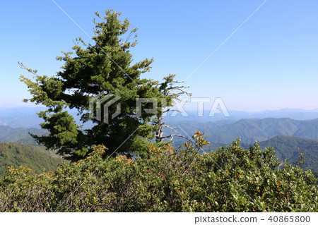 Monogamatsu at Aizu Asahi 40865800