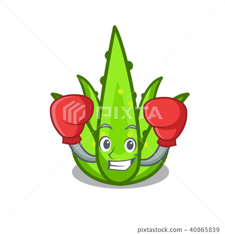 Boxing aloevera character cartoon style Boxing aloevera character cartoon style 40865839