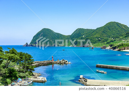 京田海的竹野 40866516