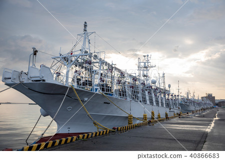 Hachinohe Port squid fishing boat Hachinohe Port squid fishing boat 40866683