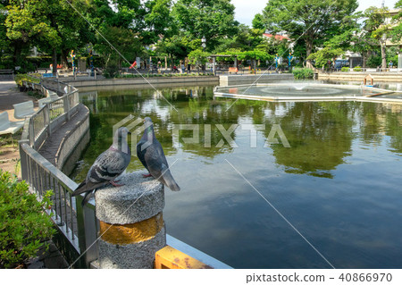 Shimizuike公園 40866970