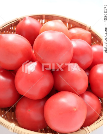 Tomato Tomato 40868173