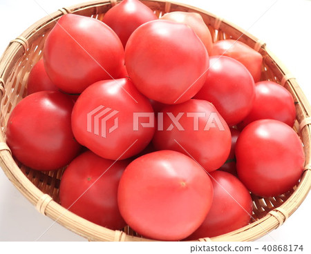 Tomato Tomato 40868174