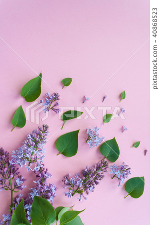 Frame with blossom lilac on pink background 40868523