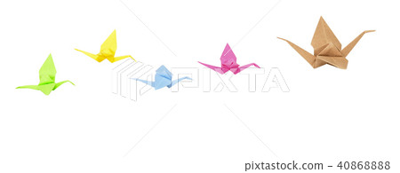 flock of birds flock of birds 40868888