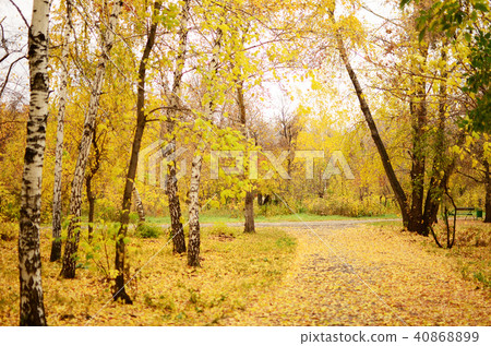 autumn park autumn park 40868899