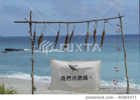 蘭嶼飛魚季 蘭嶼飛魚季 40869371