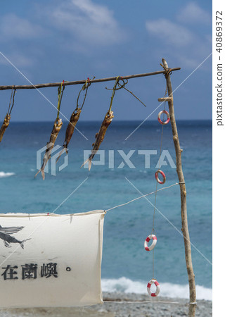 蘭嶼飛魚季 蘭嶼飛魚季 40869372