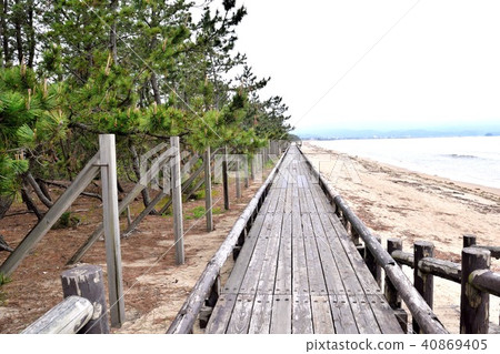 Himi shi beach botanical garden beach walking garden 40869405