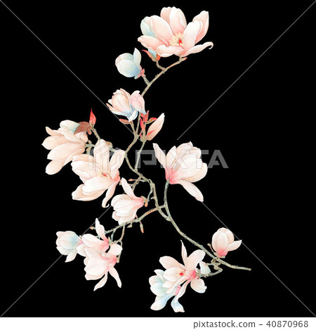 Watercolor magnolia flower and branches 40870968