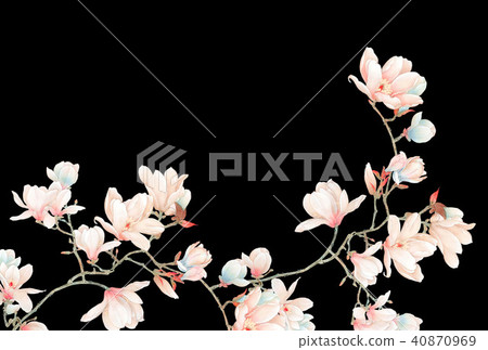 Watercolor magnolia flower and branches Watercolor magnolia flower and branches 40870969