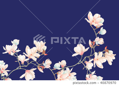 Watercolor magnolia flower and branches Watercolor magnolia flower and branches 40870970