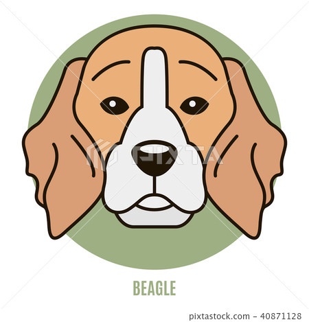 Portrait of Beagle. Vector illustration Portrait of Beagle. Vector illustration 40871128