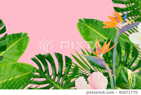 Tropical green leaves 40871770