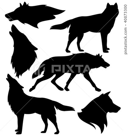 wild wolves black and white vector silhouette set 40873300