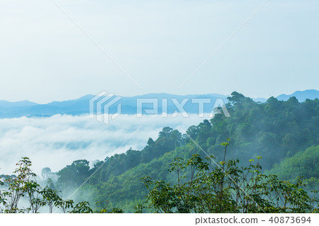 Mist in the morning cover on the top of the hill. Mist in the morning cover on the top of the hill. 40873694