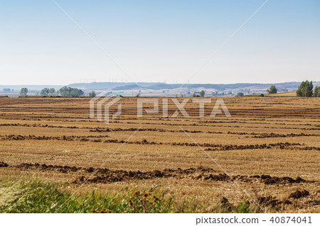 Beautiful natural landscape 40874041