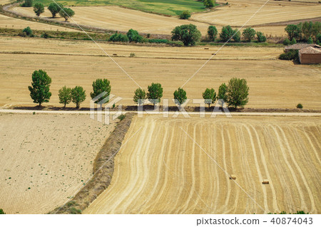 Beautiful natural landscape 40874043
