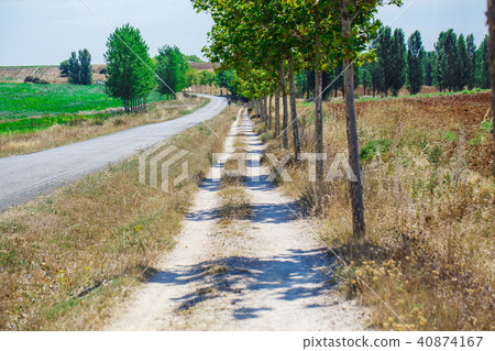 Beautiful natural landscape 40874167