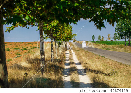 Beautiful natural landscape 40874169