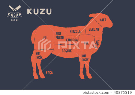 Meat cuts. Poster Butcher diagram - Kuzu Meat cuts. Poster Butcher diagram - Kuzu 40875519
