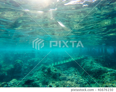 Coral Reef Coral Reef 40876150