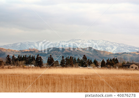 Satoyama winter scene at dusk 40876278