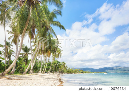 Vacation in Dominican Republic 40876284