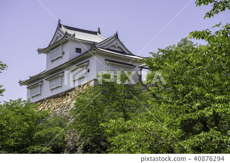 Tsuyama castle of fresh green 40876294