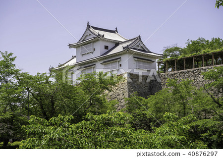 Tsuyama castle of fresh green 40876297