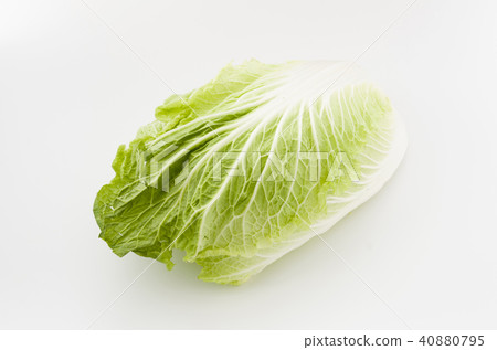 Cabbage cut vegetables 40880795
