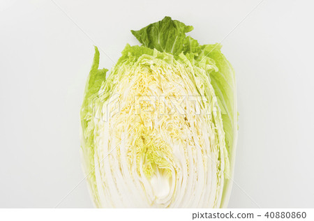 Cabbage cut vegetables Cabbage cut vegetables 40880860