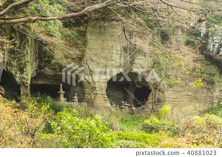 神奈川縣鎌倉共和國寺廟的足利家族時間氏族的墳塋 40881023